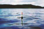 Smallmouth Bass and Striper Guided Fishing Trips
